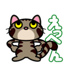 キジトラにゃん仔猫（個別スタンプ：10）