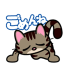 キジトラにゃん仔猫（個別スタンプ：11）