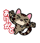 キジトラにゃん仔猫（個別スタンプ：12）