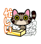 キジトラにゃん仔猫（個別スタンプ：13）