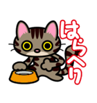 キジトラにゃん仔猫（個別スタンプ：15）