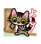 キジトラにゃん仔猫（個別スタンプ：17）