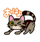 キジトラにゃん仔猫（個別スタンプ：18）