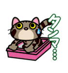 キジトラにゃん仔猫（個別スタンプ：20）