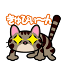 キジトラにゃん仔猫（個別スタンプ：25）