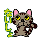 キジトラにゃん仔猫（個別スタンプ：26）