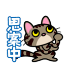 キジトラにゃん仔猫（個別スタンプ：28）