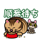 キジトラにゃん仔猫（個別スタンプ：31）