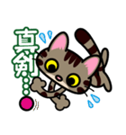 キジトラにゃん仔猫（個別スタンプ：32）