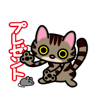 キジトラにゃん仔猫（個別スタンプ：34）