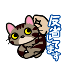 キジトラにゃん仔猫（個別スタンプ：36）