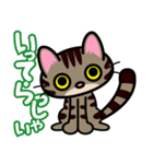 キジトラにゃん仔猫（個別スタンプ：39）