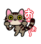 キジトラにゃん仔猫（個別スタンプ：40）