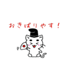 麿ねこ（個別スタンプ：1）