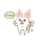 大分弁を話すチワワ（個別スタンプ：1）