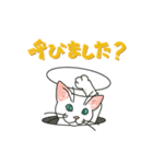 ながらオトモの白い猫GREAT（個別スタンプ：9）