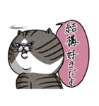 媚びないもっちりネコ「野良ドラ雄」（個別スタンプ：40）