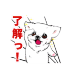 ペキニーズスタンプ（個別スタンプ：7）