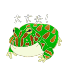 frogstamps（個別スタンプ：8）