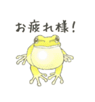 frogstamps（個別スタンプ：17）