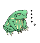 frogstamps（個別スタンプ：20）