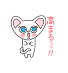 猫のマンチカンだにゃ！（個別スタンプ：9）