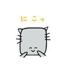 しかくいねこ（個別スタンプ：34）