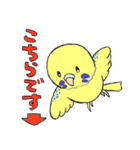 セキセイインコたち（個別スタンプ：2）