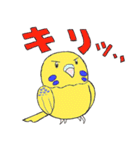 セキセイインコたち（個別スタンプ：7）