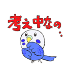 セキセイインコたち（個別スタンプ：12）