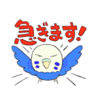 セキセイインコたち（個別スタンプ：16）