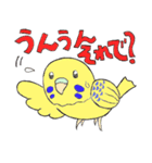 セキセイインコたち（個別スタンプ：17）