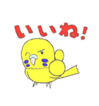 セキセイインコたち（個別スタンプ：23）