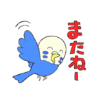 セキセイインコたち（個別スタンプ：24）