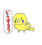 セキセイインコたち（個別スタンプ：25）