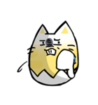 EggshellCat（個別スタンプ：39）