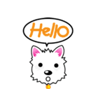 Polki happy dog（個別スタンプ：33）