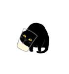 Dusky cat（個別スタンプ：7）