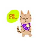 Pineapple cat 3（個別スタンプ：34）