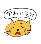 猫顔（個別スタンプ：19）