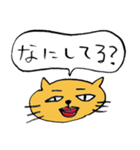 猫顔（個別スタンプ：22）