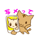 ちゃんねこ 流行語（個別スタンプ：6）