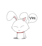 Sugar : the fun Bunny（個別スタンプ：40）