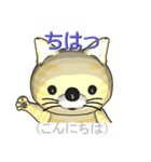 猫の「とら太」は横浜生まれ（横浜弁？）（個別スタンプ：2）