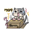 つぎはぎねこにゃん（個別スタンプ：17）