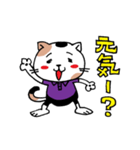 みけねこくんベイビー（個別スタンプ：1）