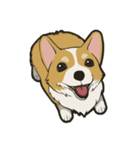 Hi！Corgi（個別スタンプ：1）