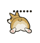 Hi！Corgi（個別スタンプ：2）