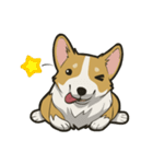 Hi！Corgi（個別スタンプ：5）