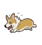 Hi！Corgi（個別スタンプ：7）